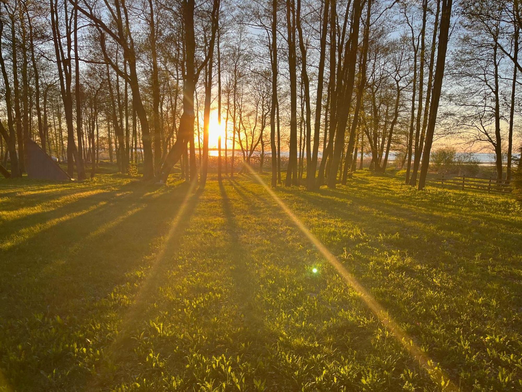 Sun& Relax- Tinyhouse Villa Syytme Eksteriør bilde